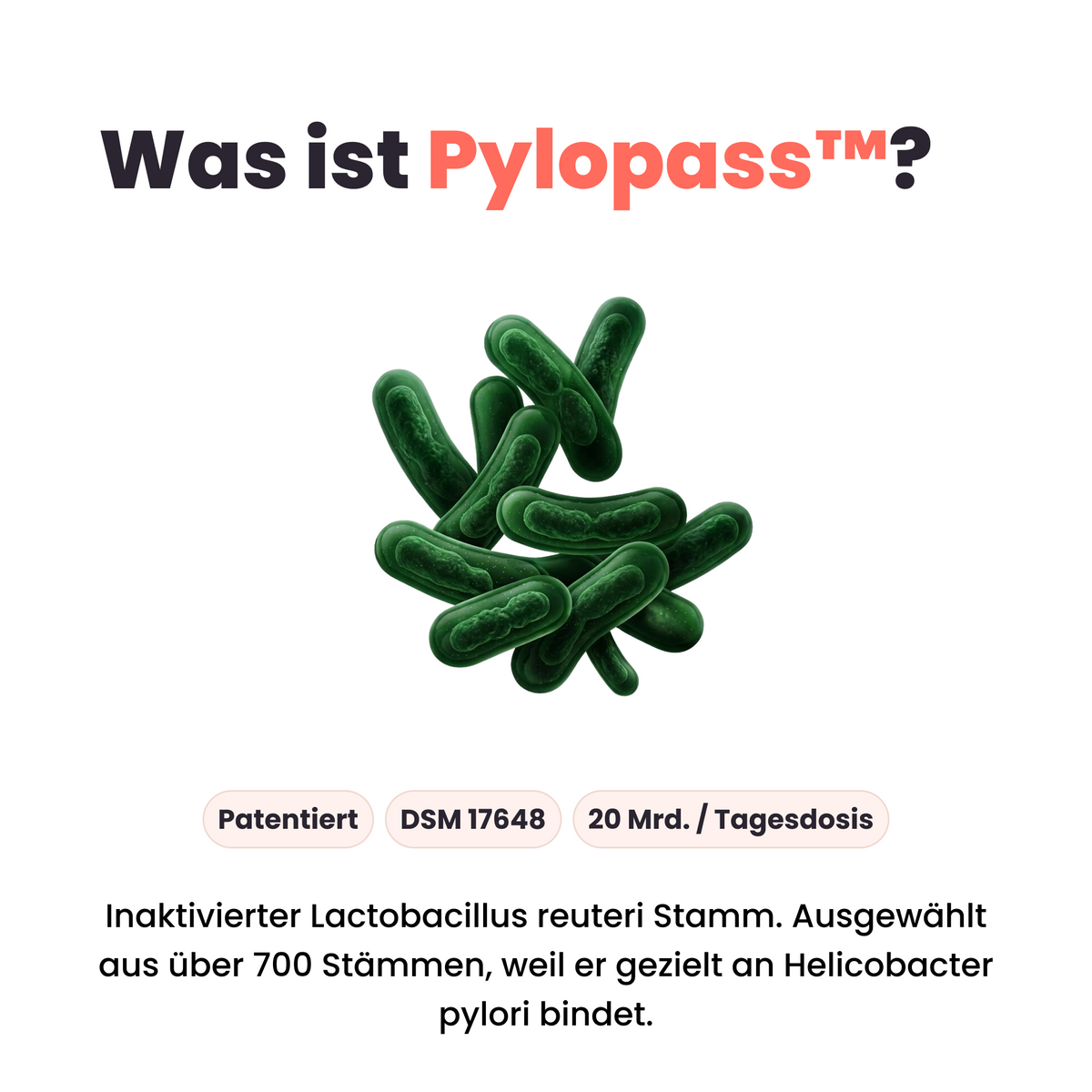Postbiotikum Komplex