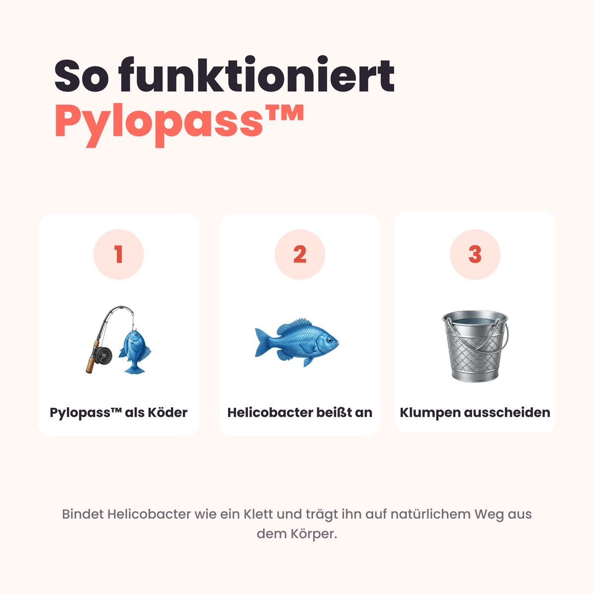 Postbiotikum Komplex